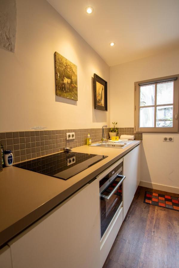 Apartament Terrasse Sur La Tour Garconnet Amboise Zewnętrze zdjęcie