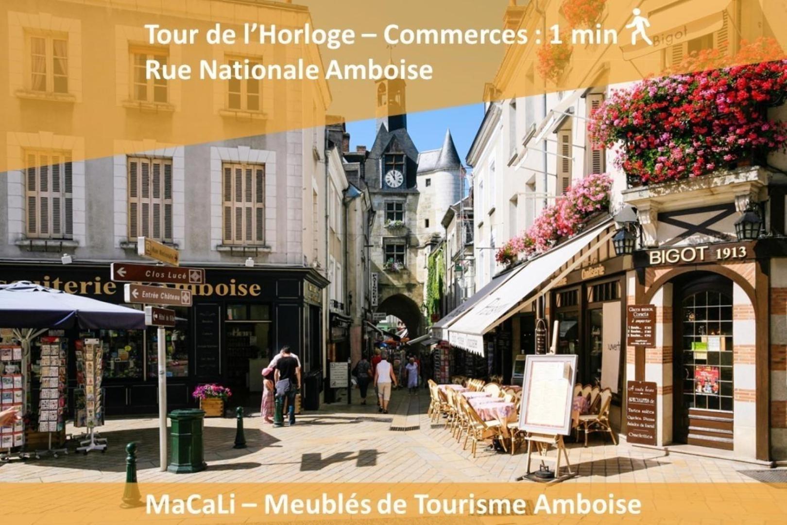 Apartament Terrasse Sur La Tour Garconnet Amboise Zewnętrze zdjęcie